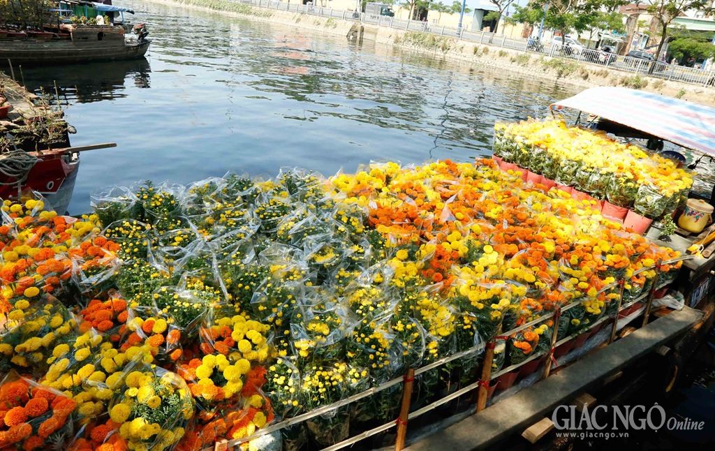 Nhộn nhịp chợ hoa "trên bến dưới thuyền" ở Sài Gòn