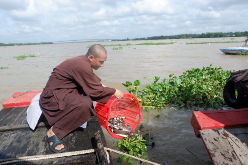 Phật giáo Bến Tre phóng sanh vì môi trường