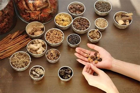 Thuốc: 60 bài thuốc trị ho