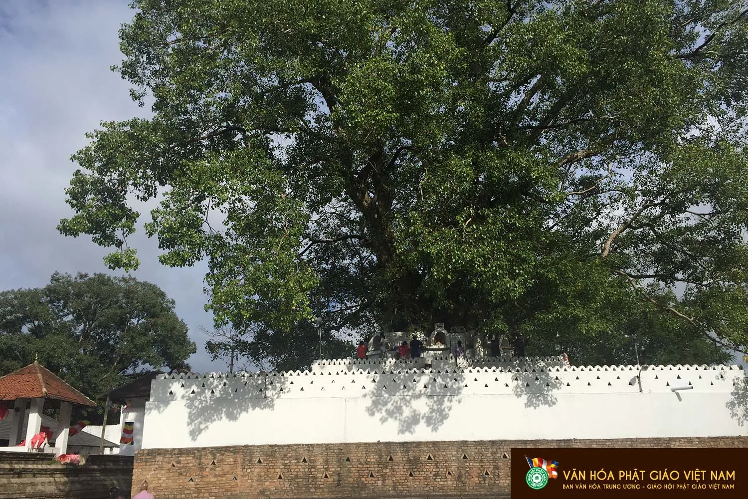 SRI LANKA NƠI MỖI CON ĐƯỜNG ĐỀU CÓ HÌNH DÁNG PHẬT