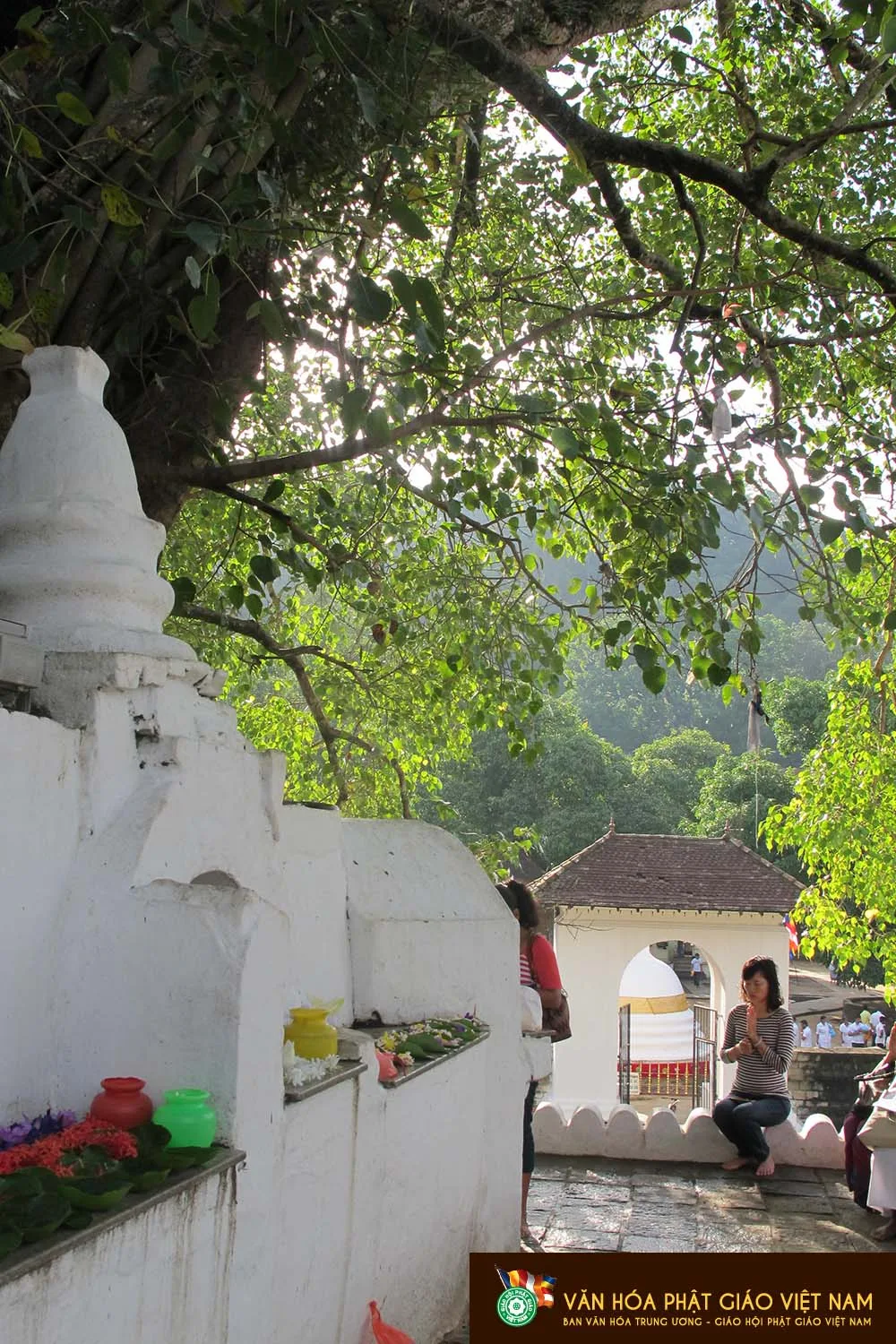SRI LANKA NƠI MỖI CON ĐƯỜNG ĐỀU CÓ HÌNH DÁNG PHẬT