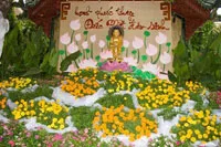 Cảm nhận Phật Đản