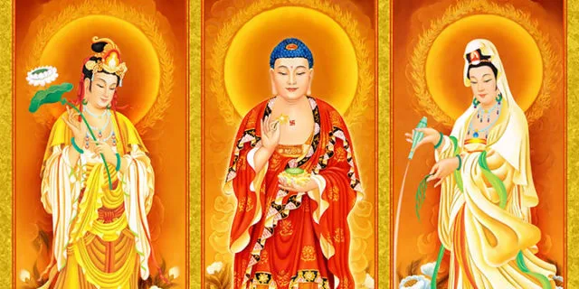 Bớt cầu thì bớt khổ bởi lòng tham chưa bao giờ là đủ - truyện ngắn Chiếc áo hạnh phúc