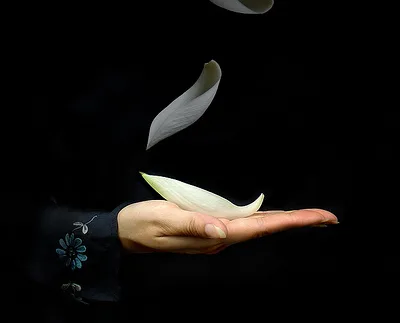 Nghệ thuật định tâm