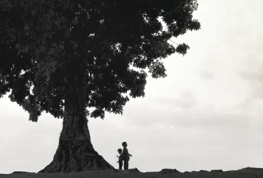 Cõi Niết-bàn tuổi thơ