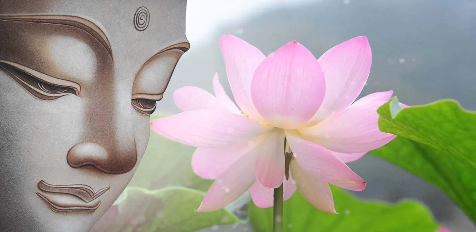 Chí tâm niệm Phật và cầu nguyện cho thai nhi khỏe mạnh là những điều vô cùng lợi lạc cho đứa trẻ.