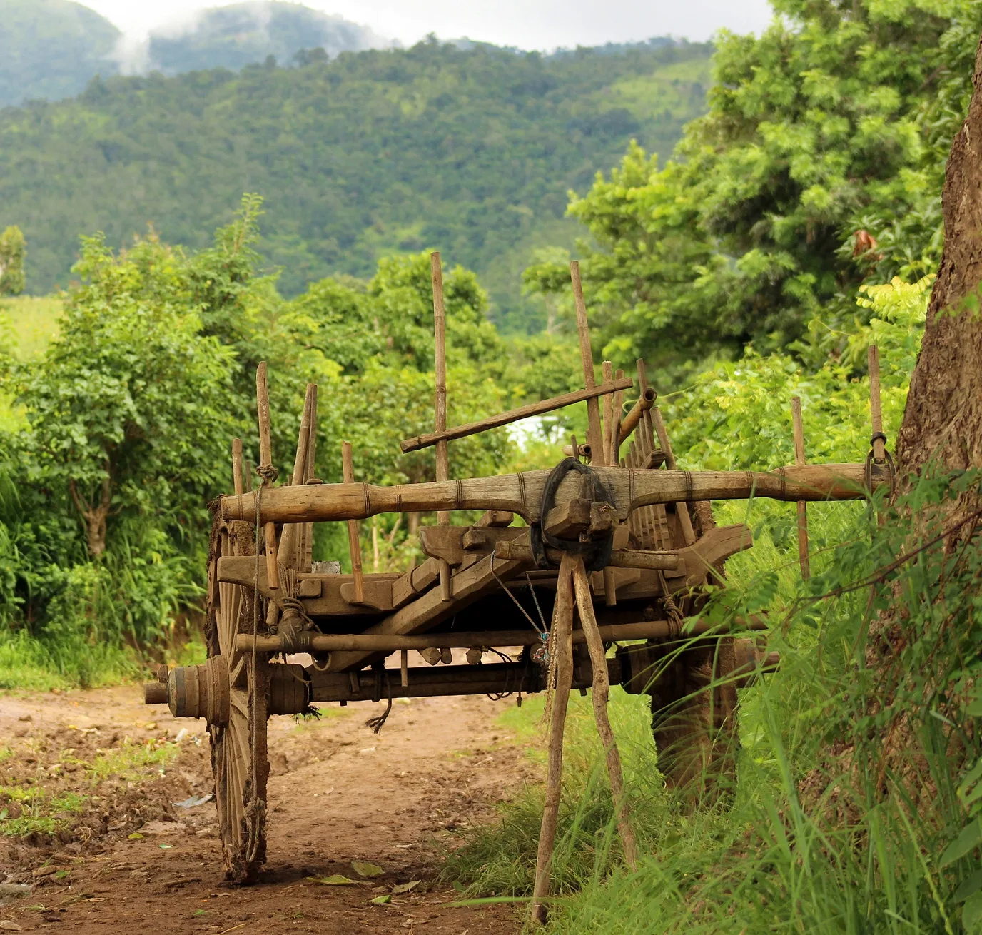 Gánh nặng của nghiệp
