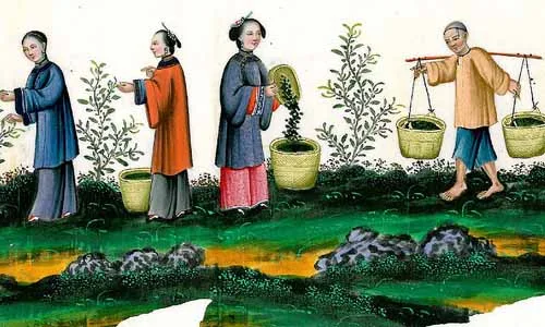 Tổ tiên tích âm đức, phúc báo con cháu hưng