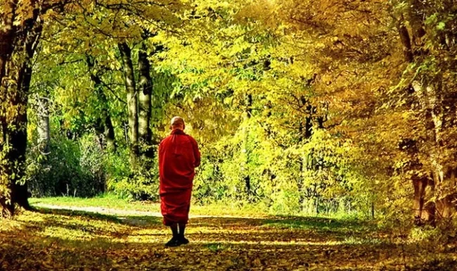 Tám nạn