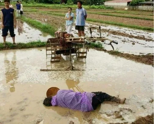 Cảnh người cha gục chết giữa cánh đồng vì kiệt sức gây chấn động