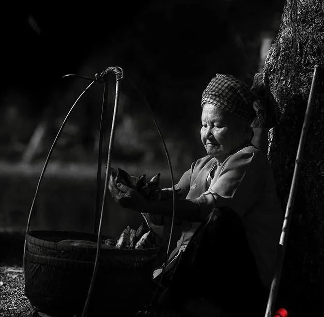 Tình người