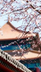 Tâm an là trạng thái tốt nhất của chúng ta