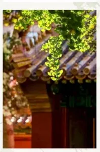 Tâm an là trạng thái tốt nhất của chúng ta