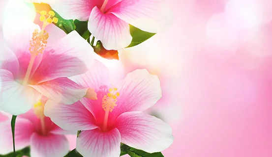Có đức mặc sức mà ăn