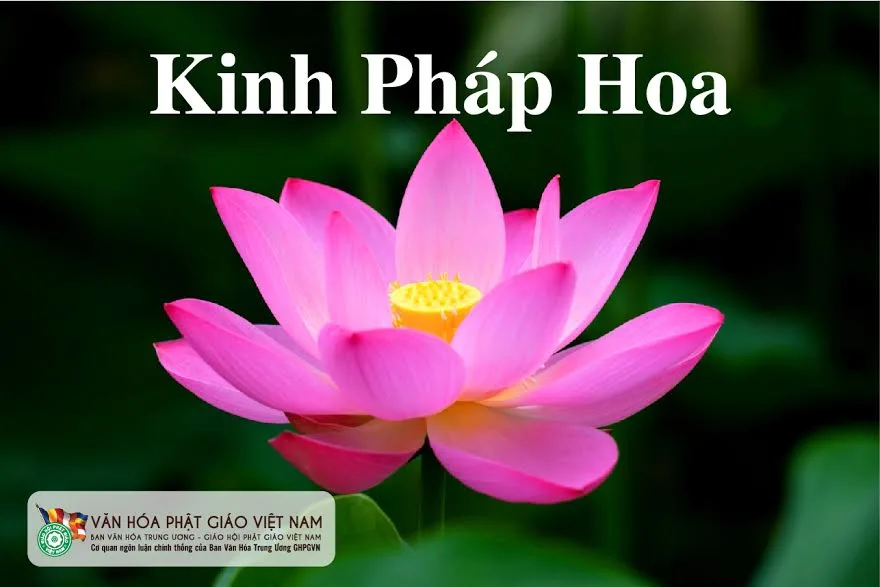 Lịch sử truyền thừa và phát triển của kinh Pháp Hoa