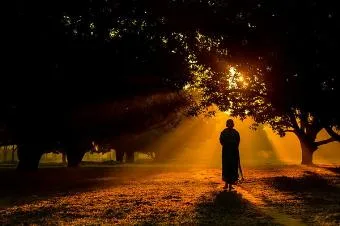 TÂM GANH GHÉT LÀM HẠI CHÍNH MÌNH