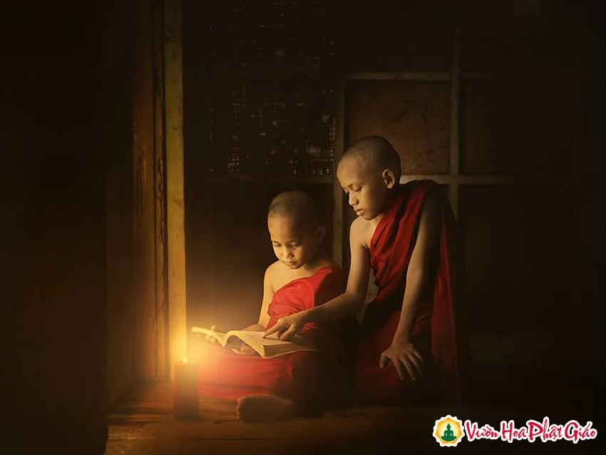 Chân lý sống trên con đường Phật pháp