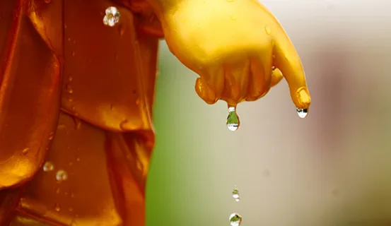 Câu chuyện về Nhân Quả