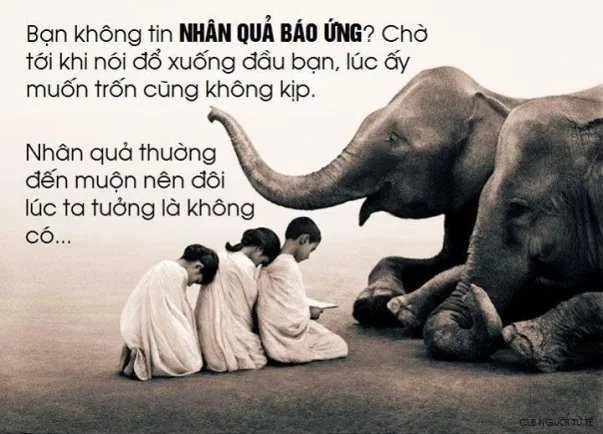 Gieo nhân nào gặt quả đó