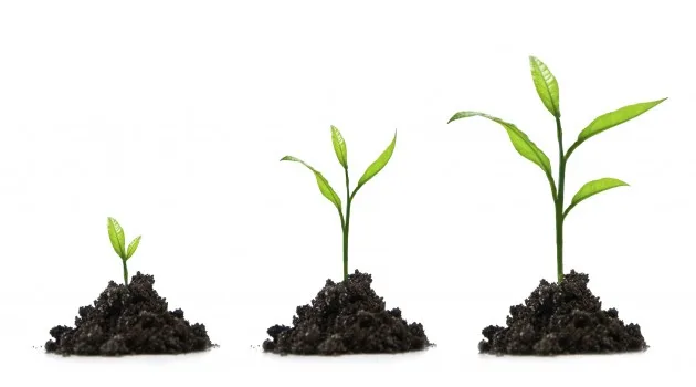 Bàn về nghiệp chung và nghiệp riêng của mỗi người