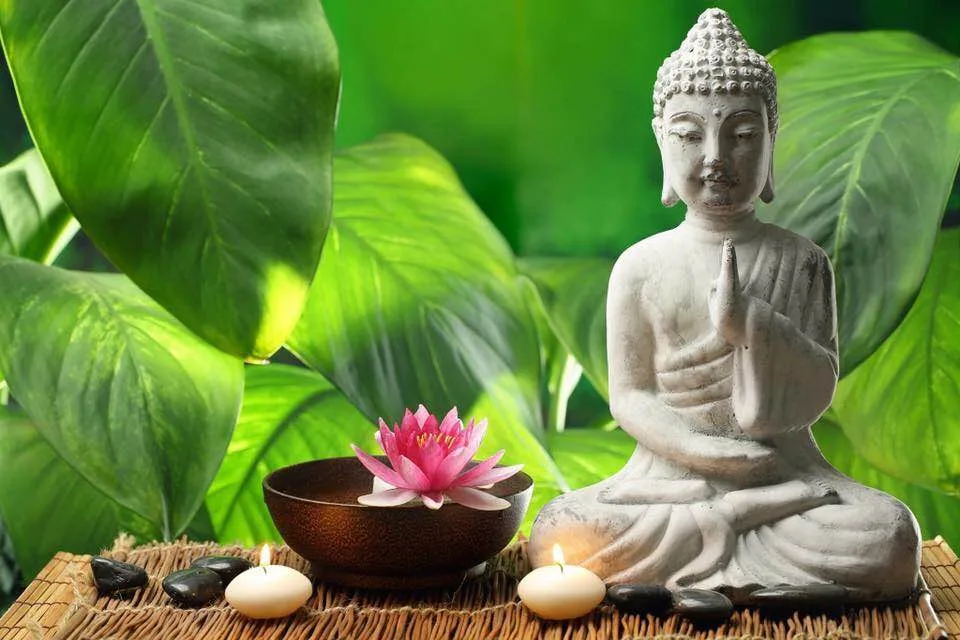 Cả đời an lạc nhờ 4 lời khuyên của vị thiền sư