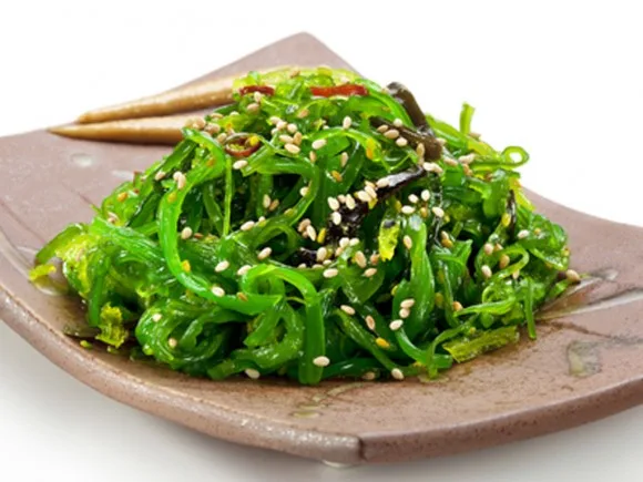 Rong biển