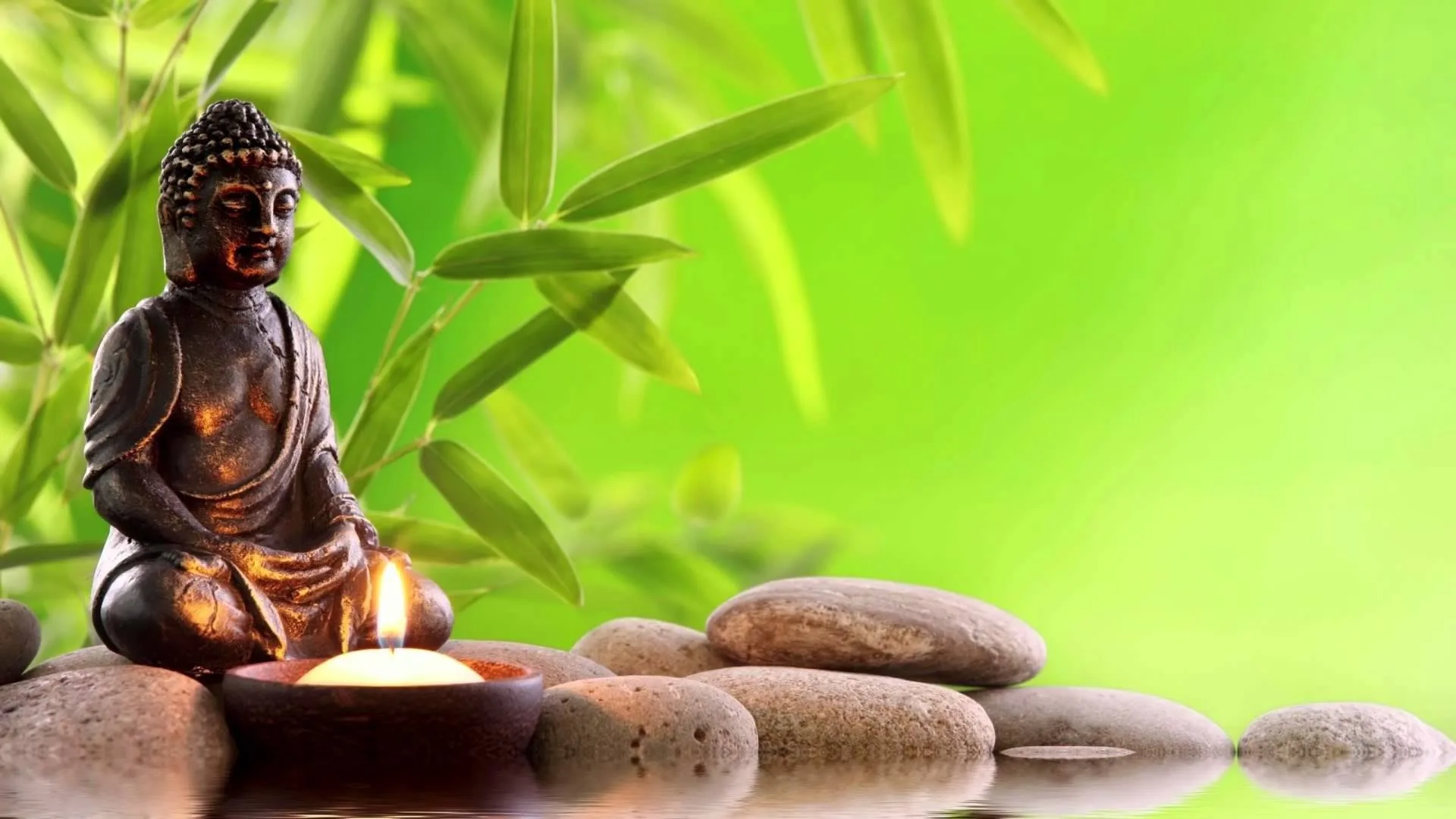 Trị liệu nỗi khổ đau cho chính mình