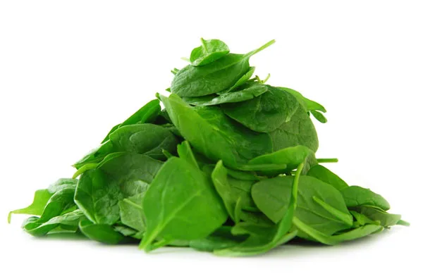 Trị tiểu buốt hiệu quả với rau mồng tơi