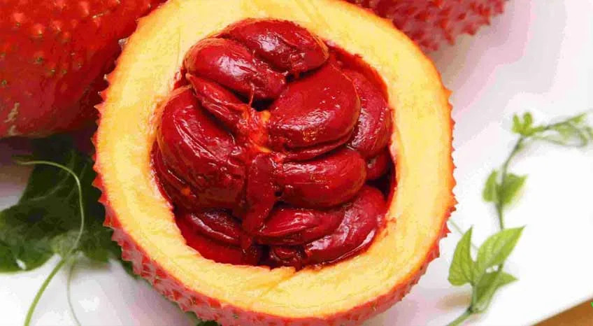 5 bài thuốc trị 'viêm xoang' nổi tiếng, chỉ trong 7 ngày là khỏi và không tái phát