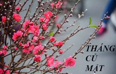 Tháng củ mật là gì và vì sao tháng củ mật hay có trộm cắp