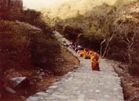 Có thể đi được bao nhiêu thì đi bấy nhiêu