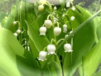 Thuận theo sự thay đổi