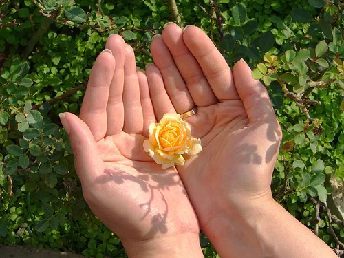 Biết đủ là đủ