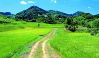 Bao dung và biết ơn sẽ giúp ta có được an vui