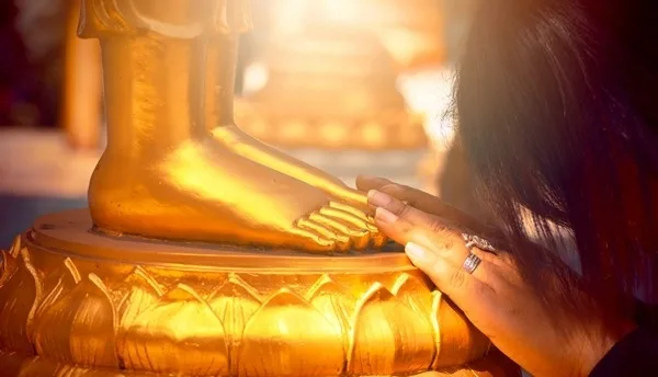 Sám hối chuyển nghiệp