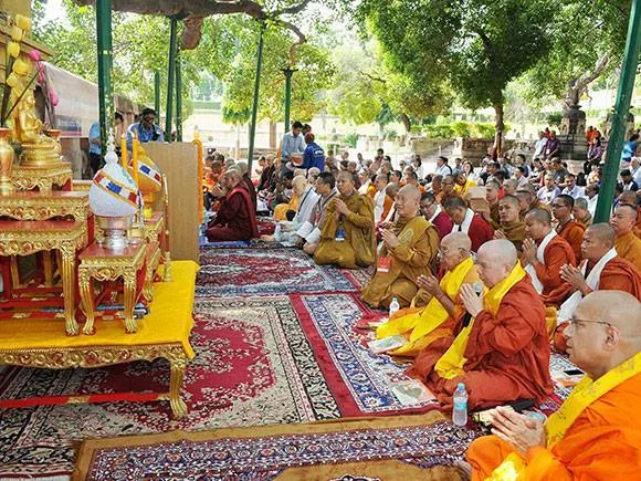 BỒ ĐỀ ĐẠO TRÀNG