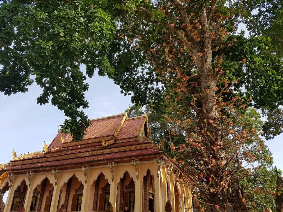 Thảo luận để hướng tới mục tiêu thống nhất