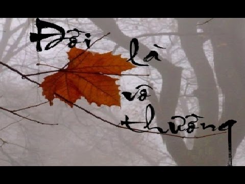 Anh đã có đây lắng tiếng chung kì