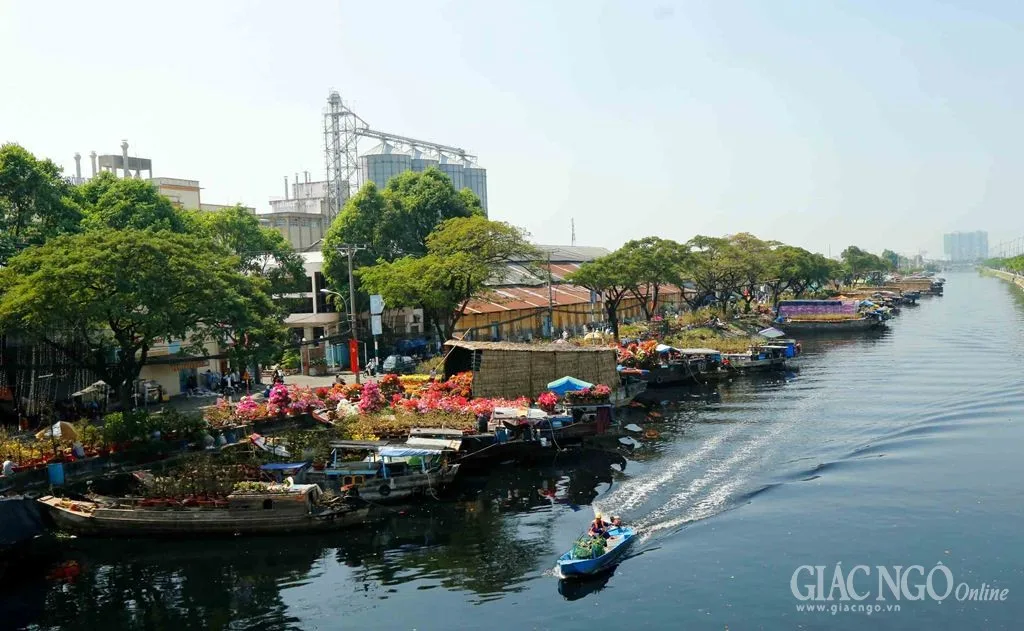Q.8 tổng khai giảng khóa tu các đạo tràng
