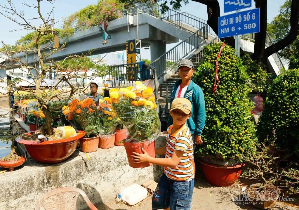 HT.Thích Như Tín ban đạo từ