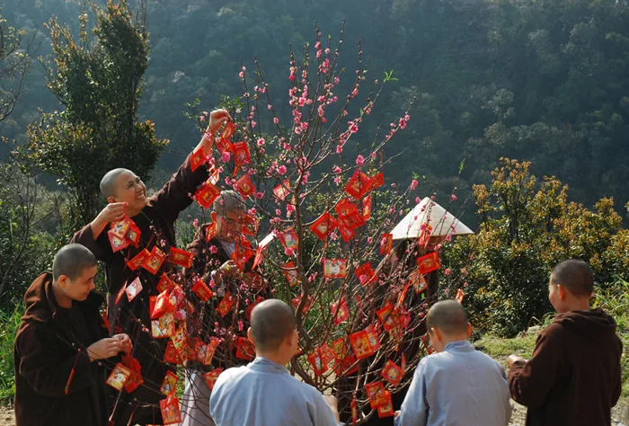 Ăn tết trong chùa