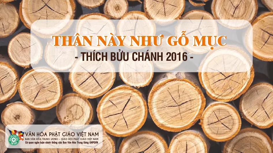 Thân này như gỗ mục