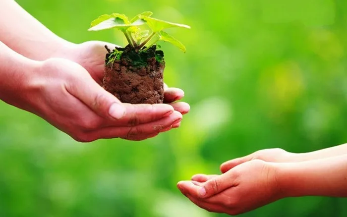 Quả báo nhãn tiền vì lòng tham
