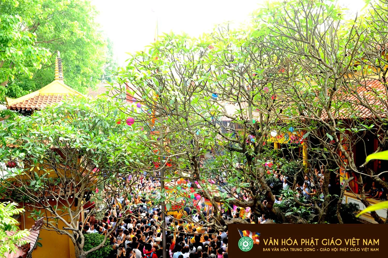 Giáo Hội Phật Giáo Việt Nam tổ chức Đại lễ Phật Đản PL 2560-DL 2016