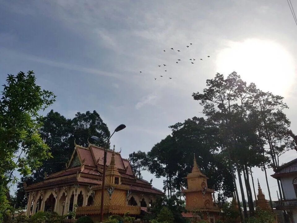 Ban Văn hóa trung ương Giáo hội Phật giáo Việt nam thăm và làm việc tại Cần Thơ