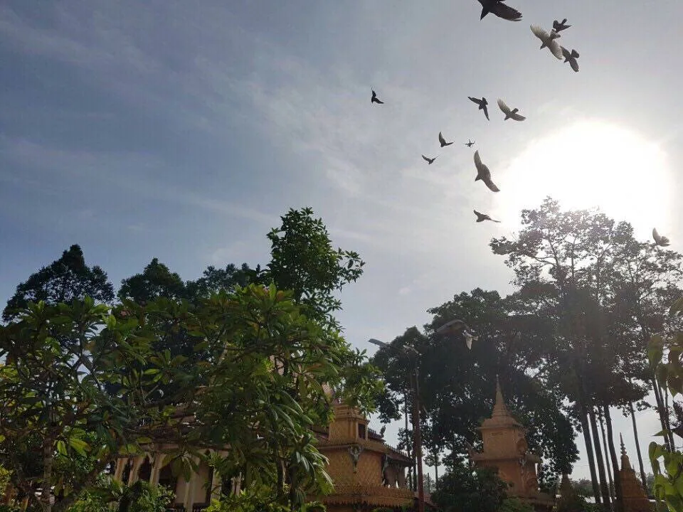 Ban Văn hóa trung ương Giáo hội Phật giáo Việt nam thăm và làm việc tại Cần Thơ