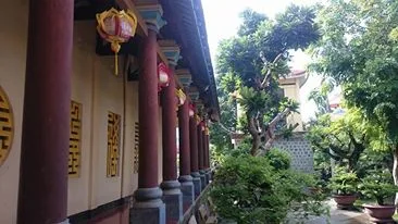 Một sáng tại tổ đình Long Khánh, Chùa Long Khánh thành phố Quy Nhơn tỉnh Bình Định