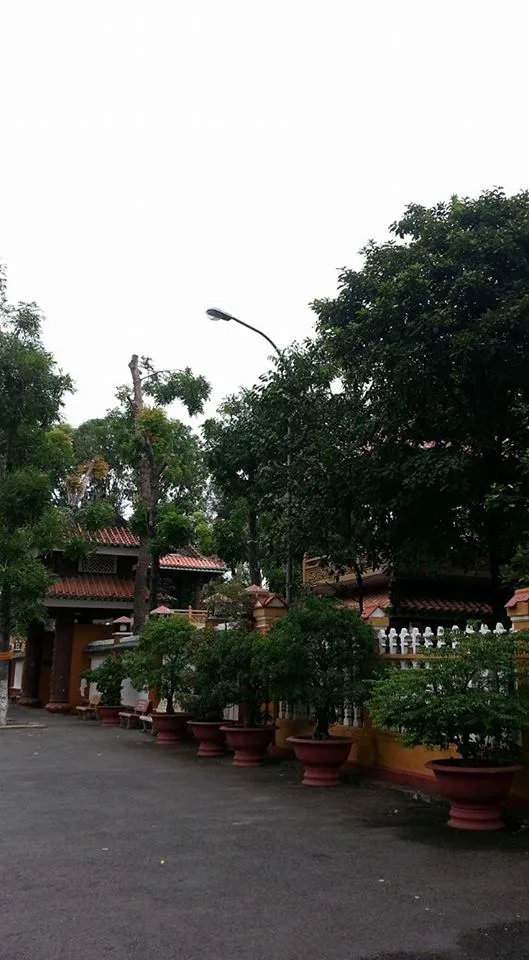 Ban Văn hóa trung ương GHPG Việt Nam đã tới thăm và khảo sát Tu viện Vĩnh Nghiêm đang được xây dựng