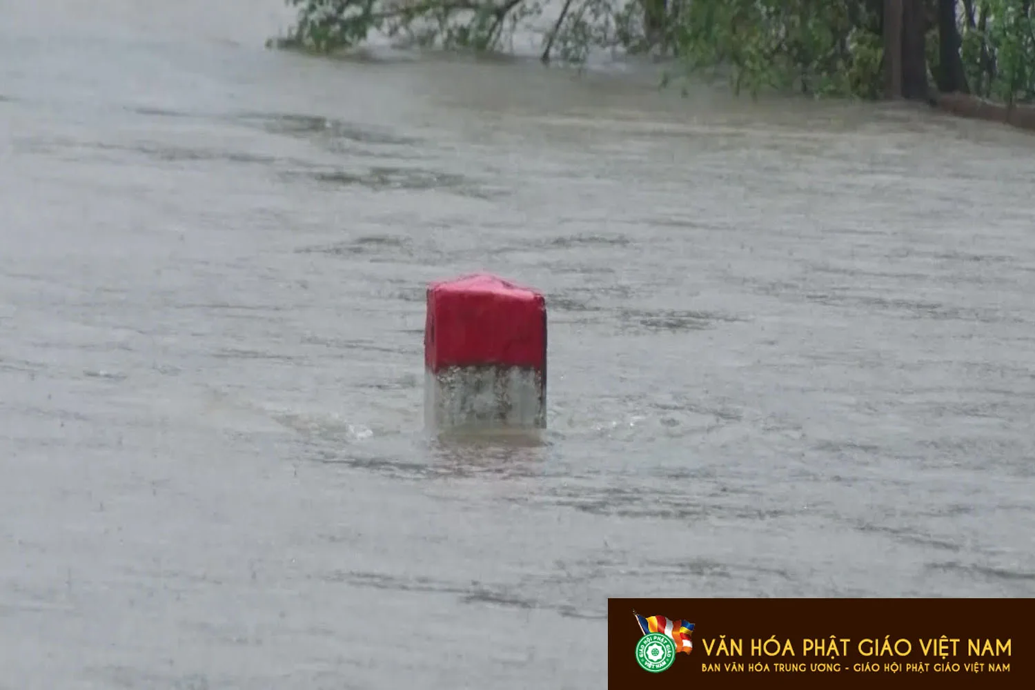 Lời kêu gọi "Góp yêu thương, chia sẻ với người dân vùng lũ"