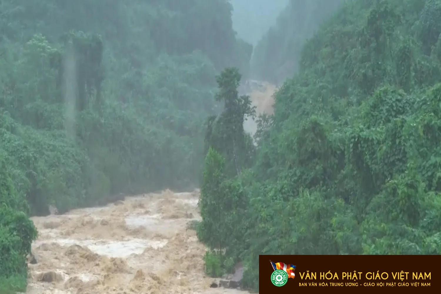 Lời kêu gọi "Góp yêu thương, chia sẻ với người dân vùng lũ"